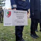 zdjęcie nr 21