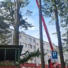 zdjęcie nr 37