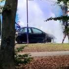 zdjęcie nr 7