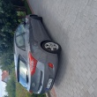 zdjęcie nr 