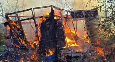 Pożar altany na działkach w Kołobrzegu. Trwa akcja strażaków