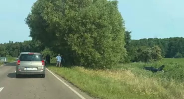 Opel dachował kilkanaście metrów poza drogą. Zderzenie na nadmorskiej trasie