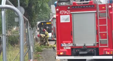 Duża gałąź runęła na jezdnię przy ul. Szpitalnej. Szybka akcja strażaków