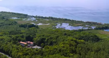 Kołobrzeg w ogólnopolskim projekcie badawczym. Naukowiec porównuje wyniki z całej Polski