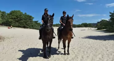 Tego patrolu nie da się przeoczyć. Konie w policyjnej służbie na ulicach Kołobrzegu