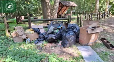 Porządki w mieszkaniu, śmieci w lesie. Strażnicy szybko ustalili, do kogo należą