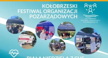 Festiwal Organizacji Pozarządowych odwołany. Zaplanowane badania jednak się odbędą