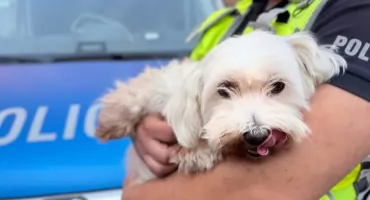 Mała Lulcia zgubiła drogę do domu. Pomogli policjanci i internauci