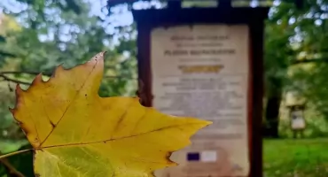 Park w Rusowie ma odzyskać dawny charakter. Najpierw mieszkańcy poznają koncepcję zmian