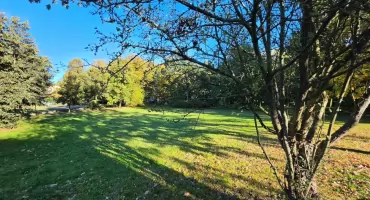 Park zmieni się do wiosny. Po latach zapowiedzi podpisano umowę